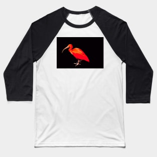 Scarlet ibis on black background Baseball T-Shirt